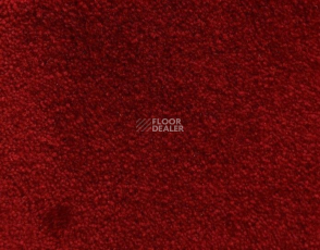 Radici Lord Rosso 129A фото 1 | FLOORDEALER